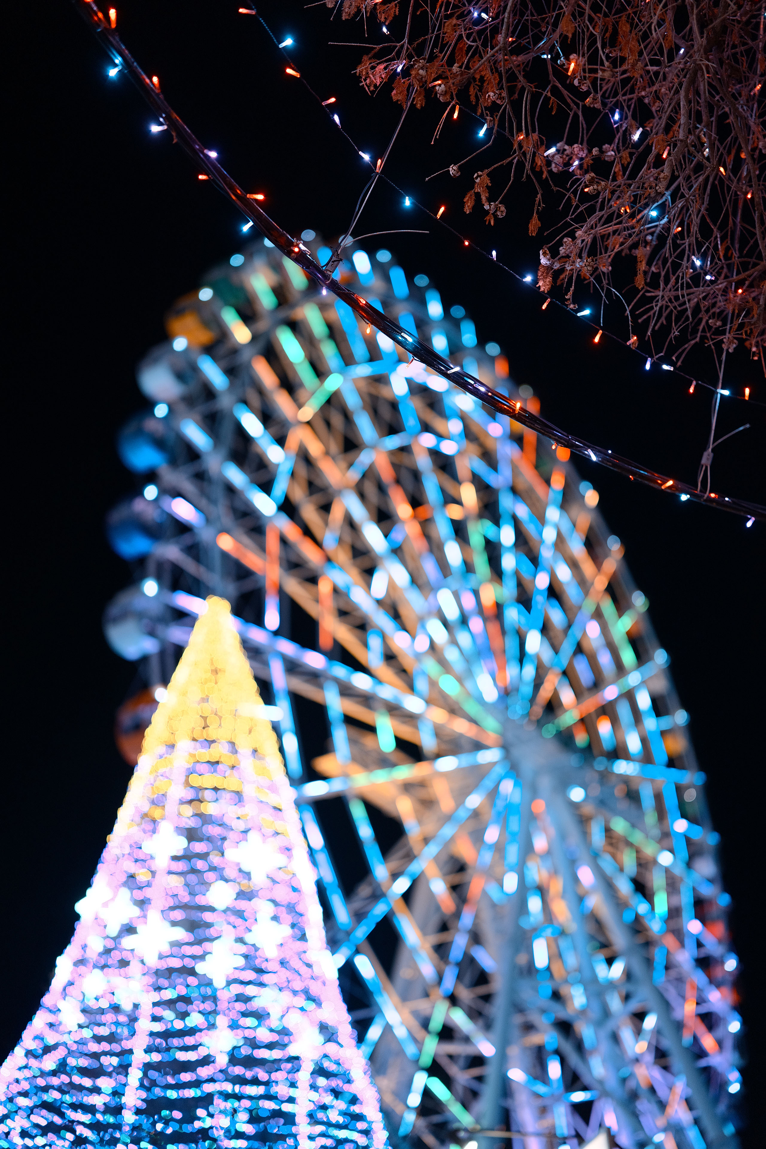 【Lマウント】イルミネーション撮影ワークショップ