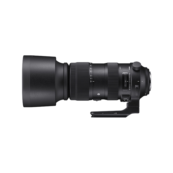 SIGMA 60-600mm F4.5-6.3 DG OS HSM ニコン用SIGMA