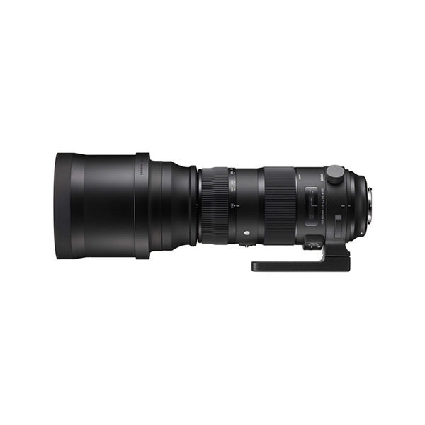150-600mm F5-6.3 DG OS HSM | Sports / NIKON F mount: 交換レンズ