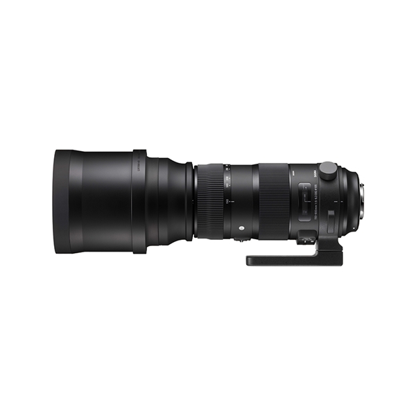 SIGMA 150-600mm F5-6.3 DG OS HSM SportsマウントキヤノンEFマウント系