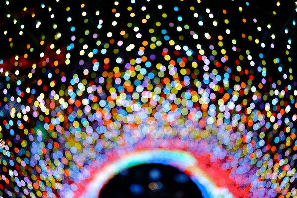 【ソニーEマウント】イルミネーション撮影ワークショップ