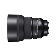 85mm F1.4 DG DN | Art / Sony E-mount