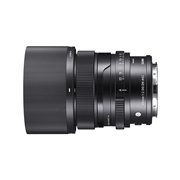 65mm F2 DG DN | Contemporary / L-mount