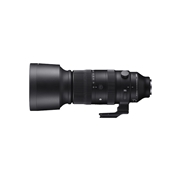 60-600mm F4.5-6.3 DG DN OS | Sports / Sony E-mount